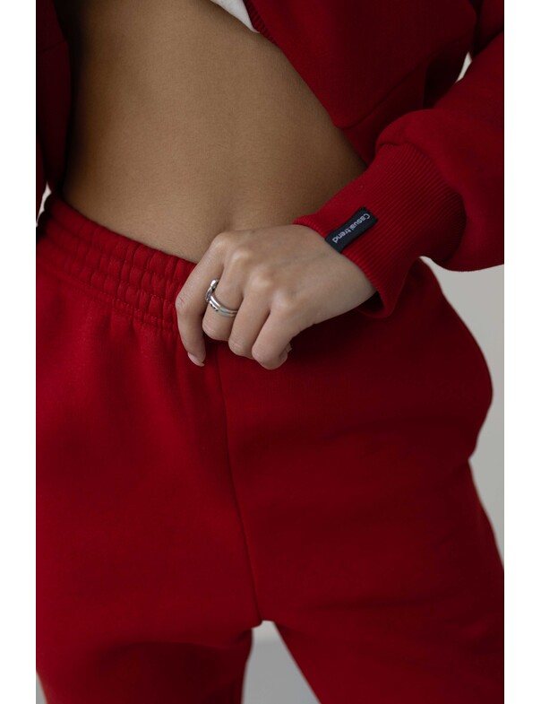 Джогери оновлені подовжені на флісі