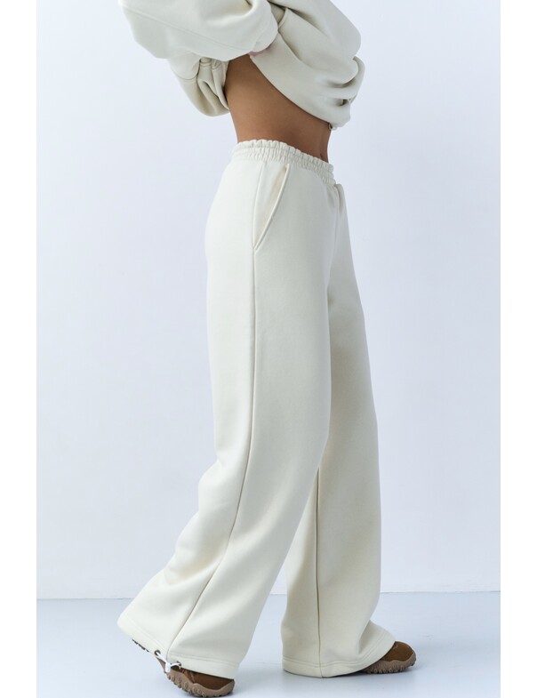 Штаны на стяжках микрофлис