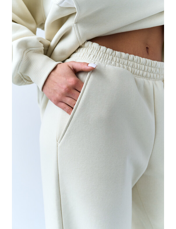 Штани на стяжках мікрофліс