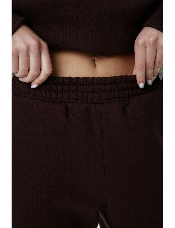 Штани на стяжках мікрофліс