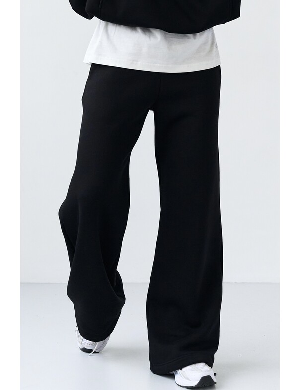 Штани на стяжках мікрофліс