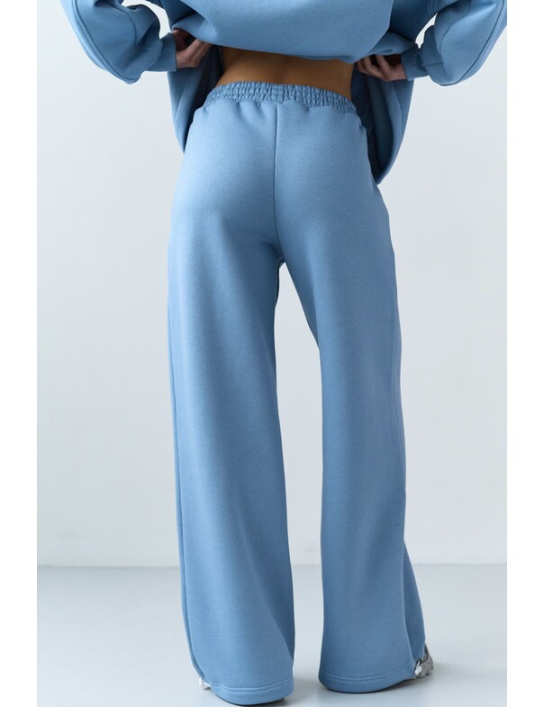 Штаны на стяжках микрофлис