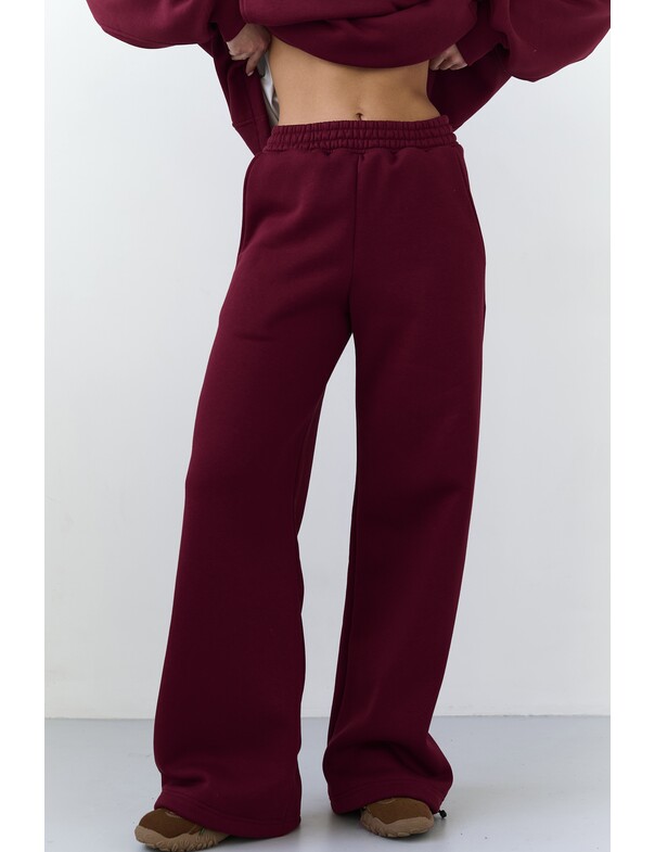 Штани на стяжках мікрофліс