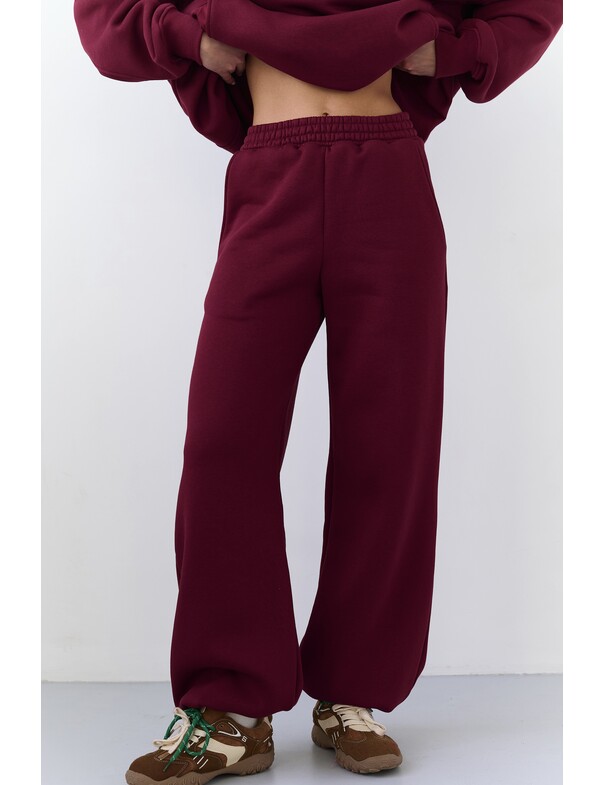 Штаны на стяжках микрофлис