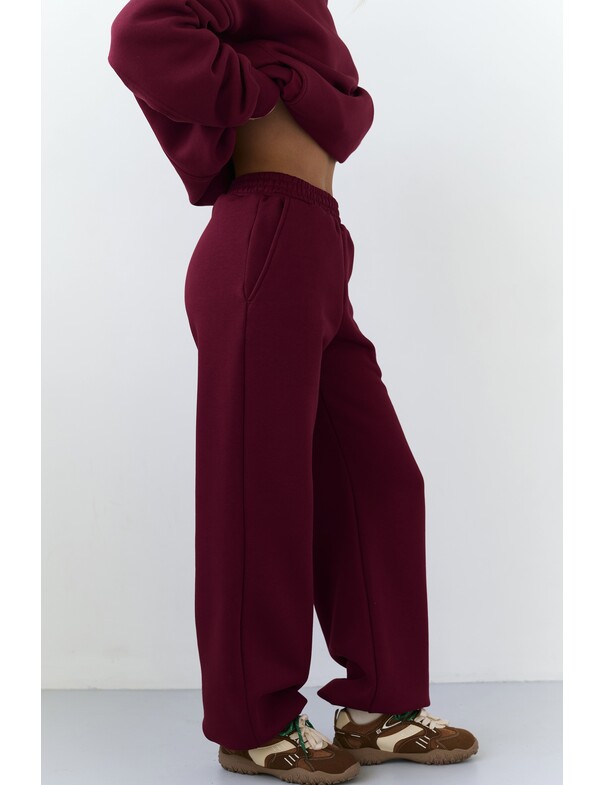 Штаны на стяжках микрофлис