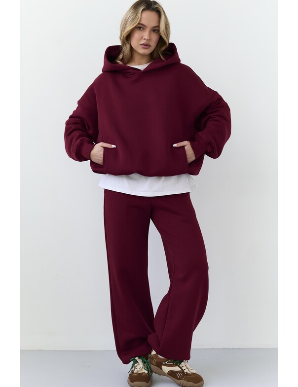 Штани на стяжках мікрофліс