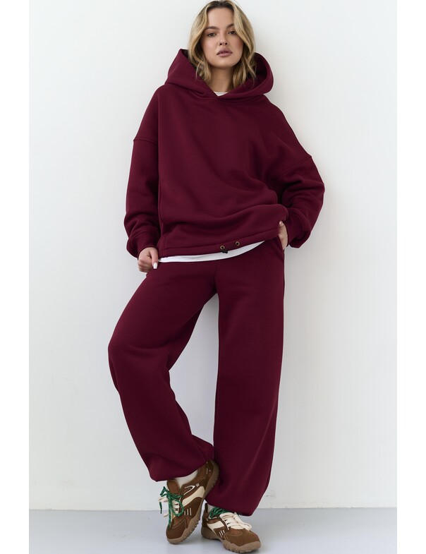 Штани на стяжках мікрофліс