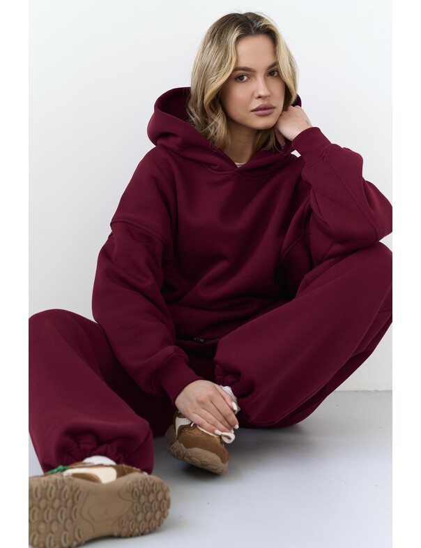 Штани на стяжках мікрофліс