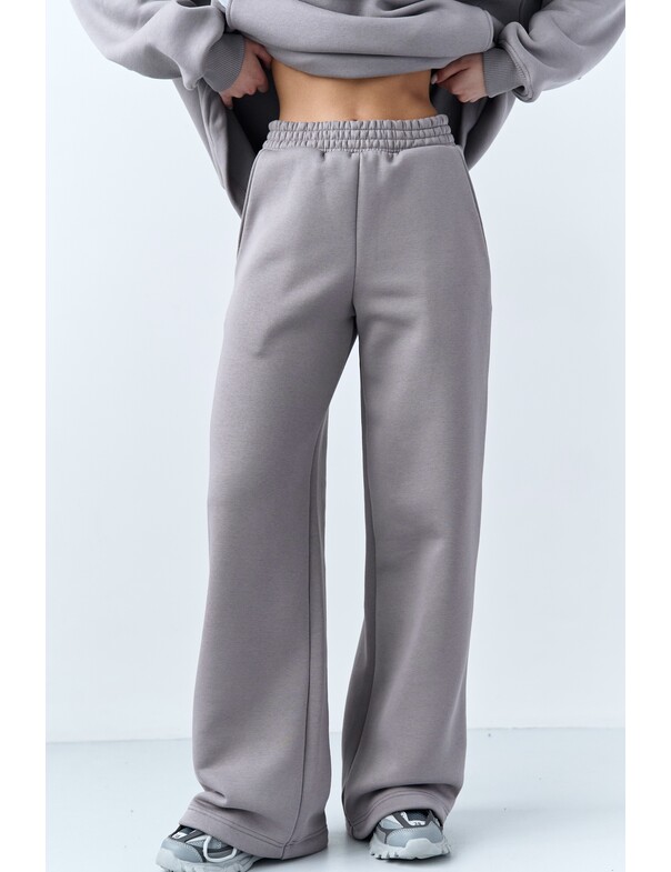 Штани на стяжках мікрофліс